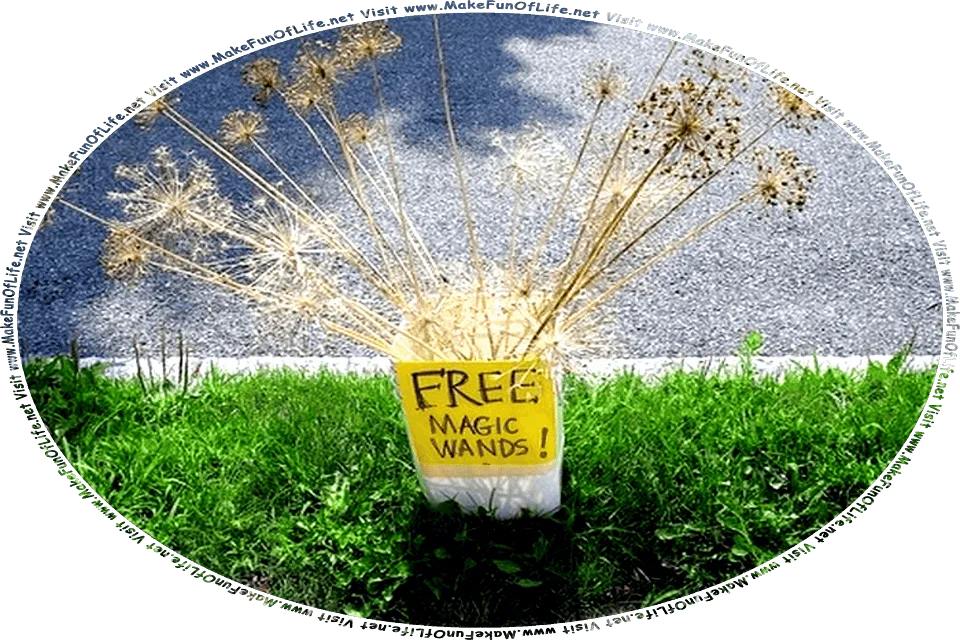 Picture of a bouquet of dried plant stems with clusters of dried seeds on the ends, sticking out of a bucket placed at the grassy edge of a curb on a road, with a hand-printed sign on the bucket reading, Free Magic Wands! and the words, Visit www.MakeFunOfLife.net.