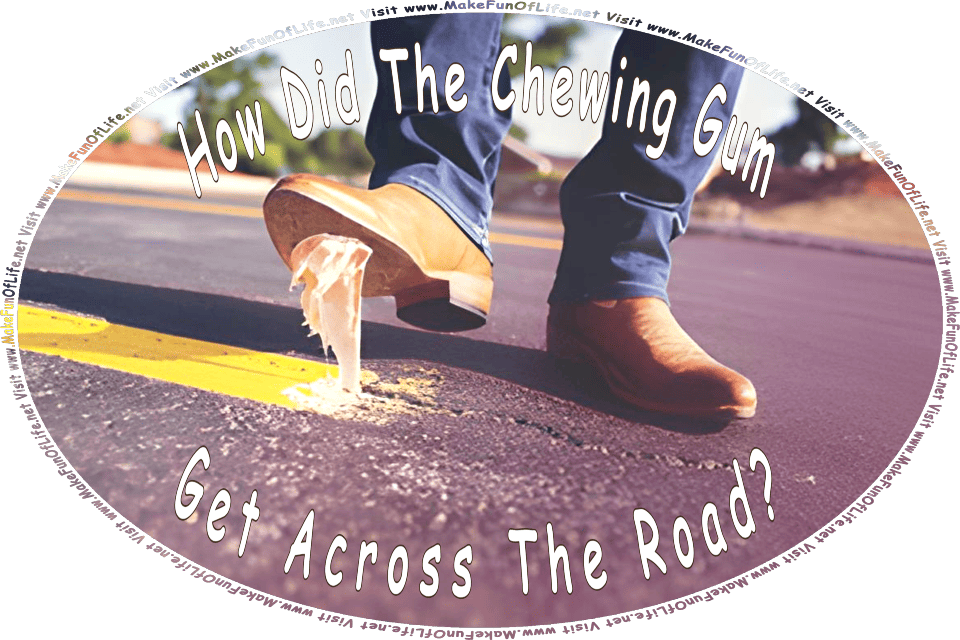 Picture of a person who has stepped on a piece of gum on a road, with the gum then sticking to the person’s shoe, and the words, Visit www.MakeFunOfLife.net.