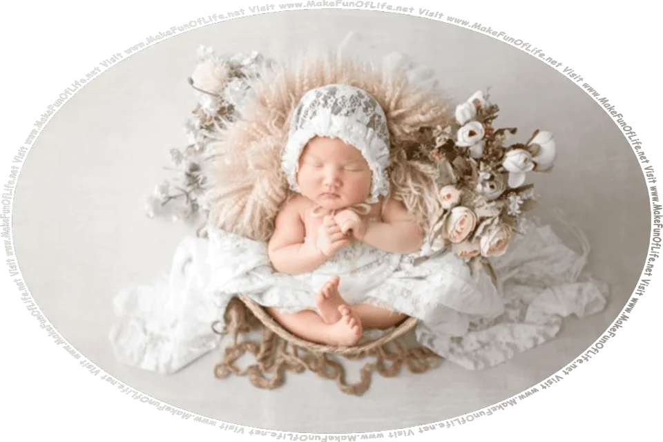 Picture of a baby in a basket, and the words, Visit www.MakeFunOfLife.net.