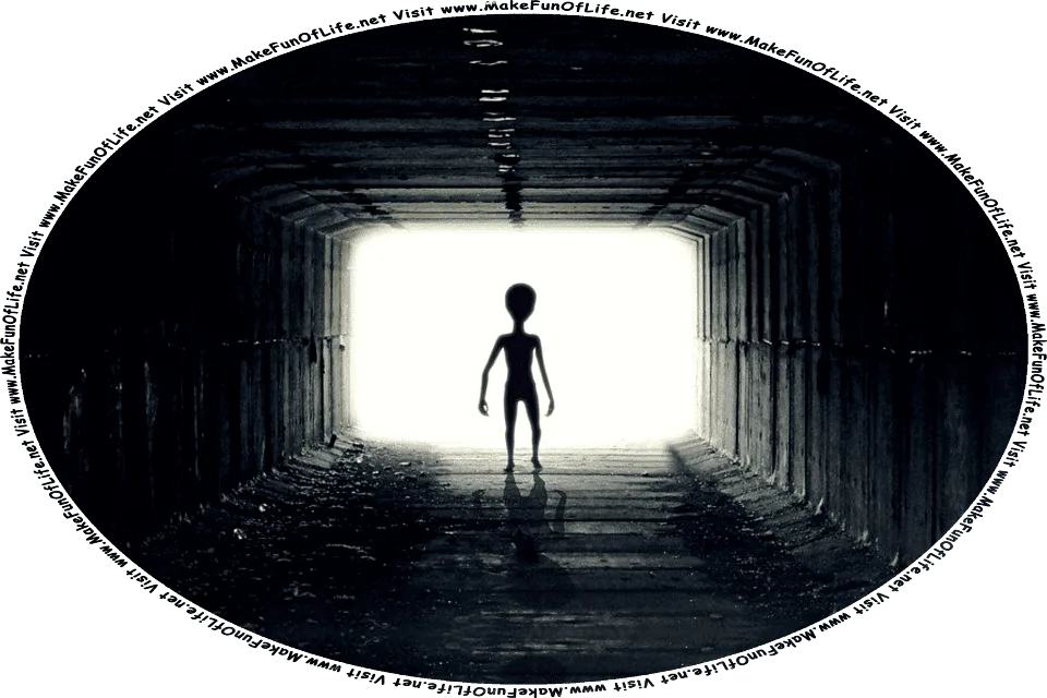 Picture of a humanoid extraterrestrial, or space alien, walking through a dark underground stormwater runoff tunnel, and the words, Visit www.MakeFunOfLife.net.