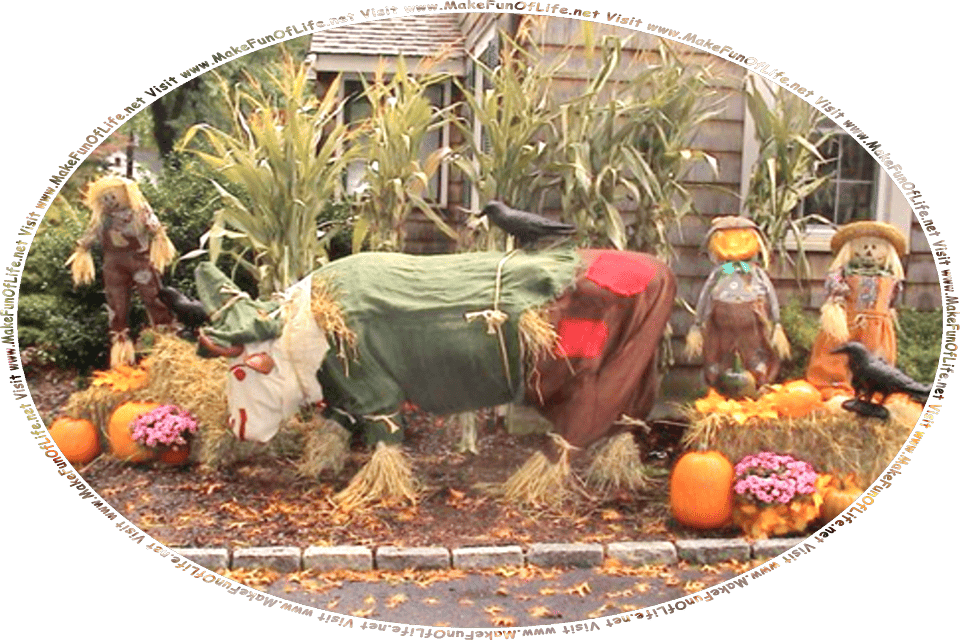 Picture of three scarecrows made from old clothes stuffed with straw, two black crows, a cow scarecrow or scare-cow made from old clothes stuffed with straw, a bale of straw, some big round ripe orange pumpkins, brown Autumn leaves on the ground, all in front of a house , and the words, Visit www.MakeFunOfLife.net.