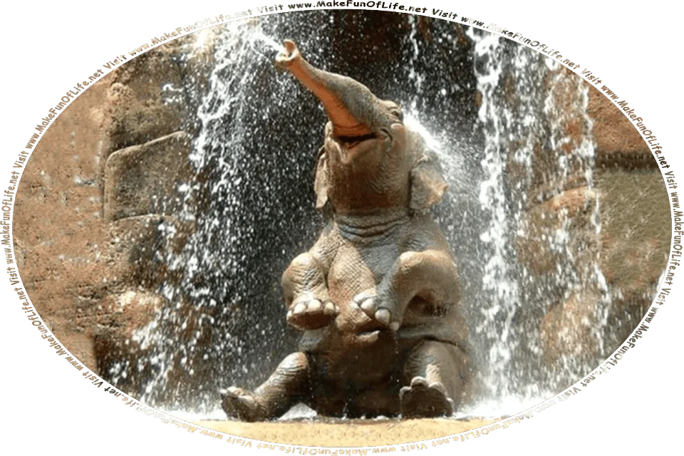 Picture of a happy baby elephant under a shower or a waterfall, and the words, Visit www.MakeFunOfLife.net.