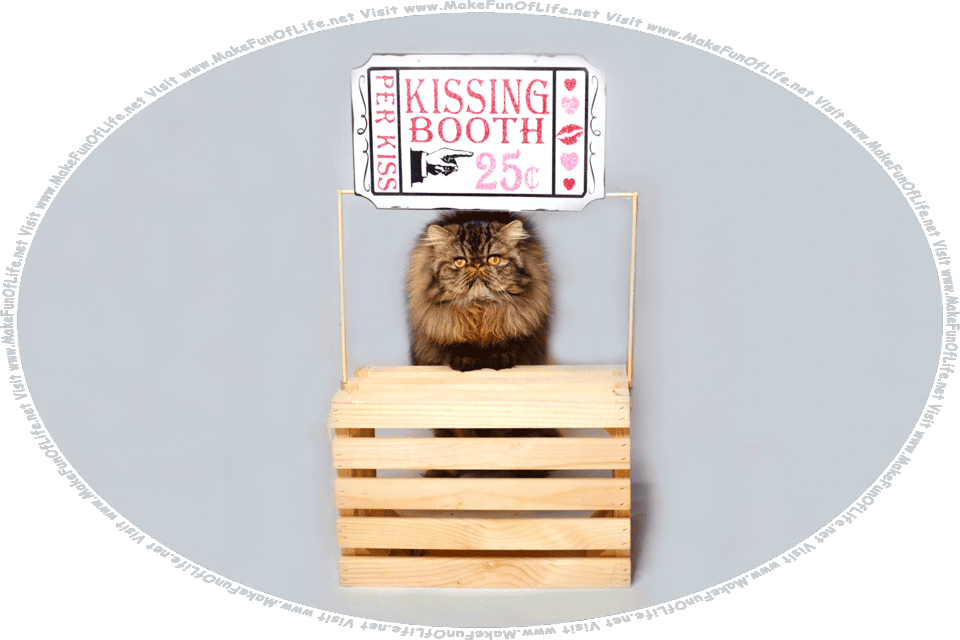 Picture of a domestic cat in a kissing booth, with a sign reading, Kissing Booth, Twenty-Five Cents Per Kiss, and the words, Visit www.MakeFunOfLife.net.