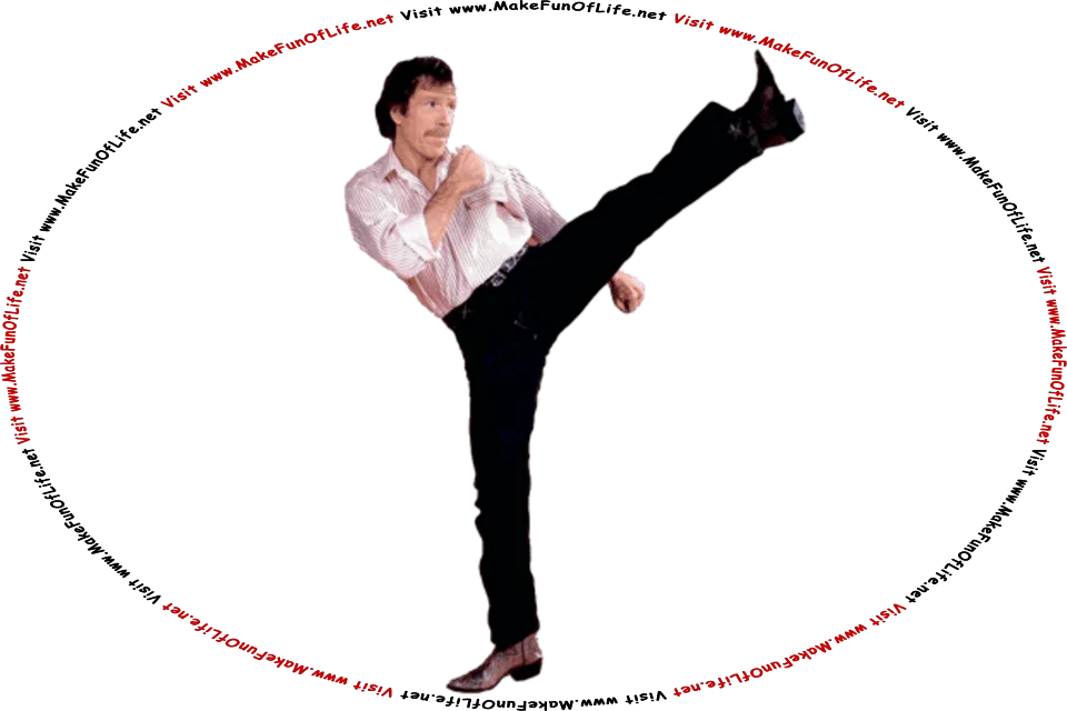 Picture of Chuck Norris demonstrating a roundhouse high kick, and the words, Visit www.MakeFunOfLife.net.