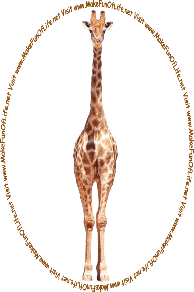 Picture of a tall giraffe and the words, ‘Visit www.MakeFunOfLife.net.’