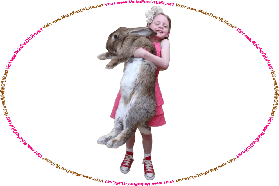 Picture of a girl holding a Giant Flemish Rabbit that is almost as big as she is, and the words, ‘Visit www.MakeFunOfLife.net.’