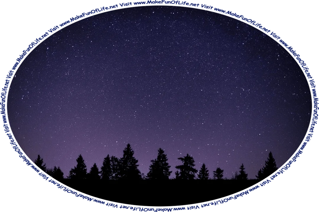 Picture of night sky filled with stars above a line of silhouetted evergreen trees, and the words, ‘Visit www.MakeFunOfLife.net.’