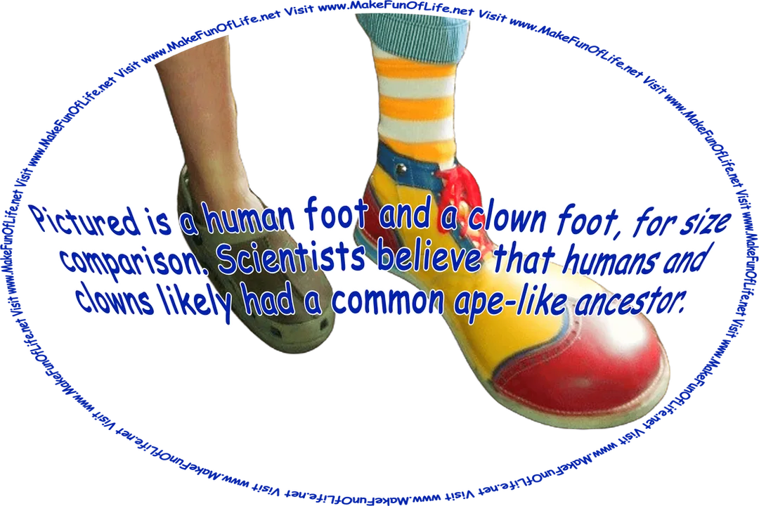Picture of a human foot and a clown foot, and the words, ‘Visit www.MakeFunOfLife.net.’