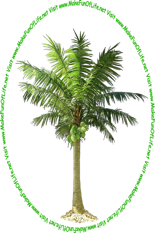 Picture of a tall green leafy coconut tree with several green coconuts growing on it and the words, 'Visit www.MakeFunOfLife.net.'