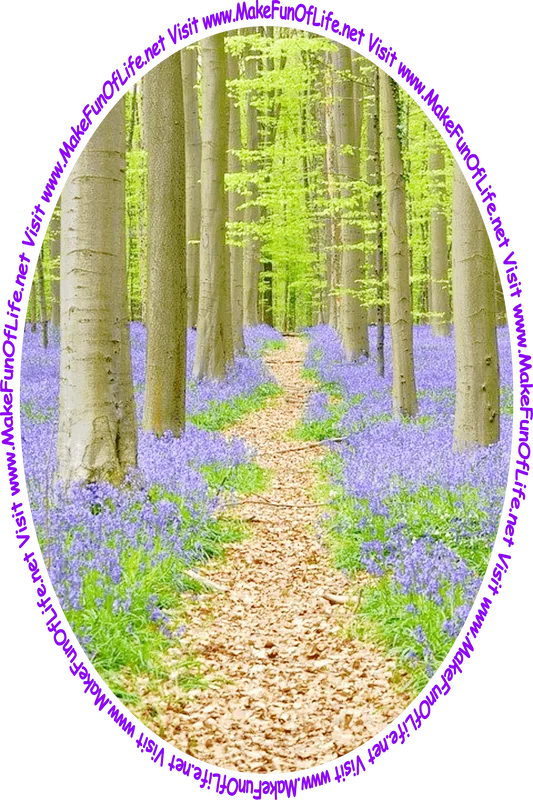 Picture of a path bordered on both sides by flowering plants with indigo-colored blossoms, going through a woods of extremely tall green leafy trees, and the words, ‘Visit www.MakeFunOfLife.net.’