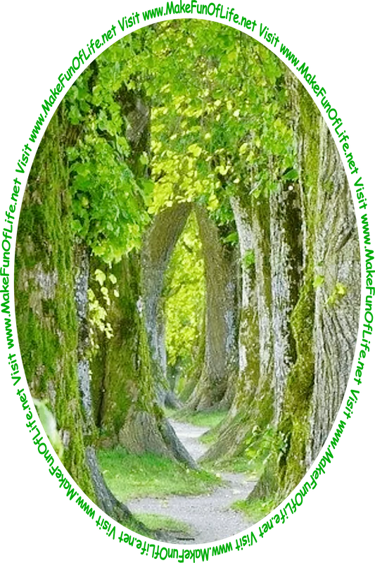 Picture of a footpath through a woods of tall green leafy trees with fuzzy green moss growing on the rough bark tree trunks, and the words, ‘Visit www.MakeFunOfLife.net.’