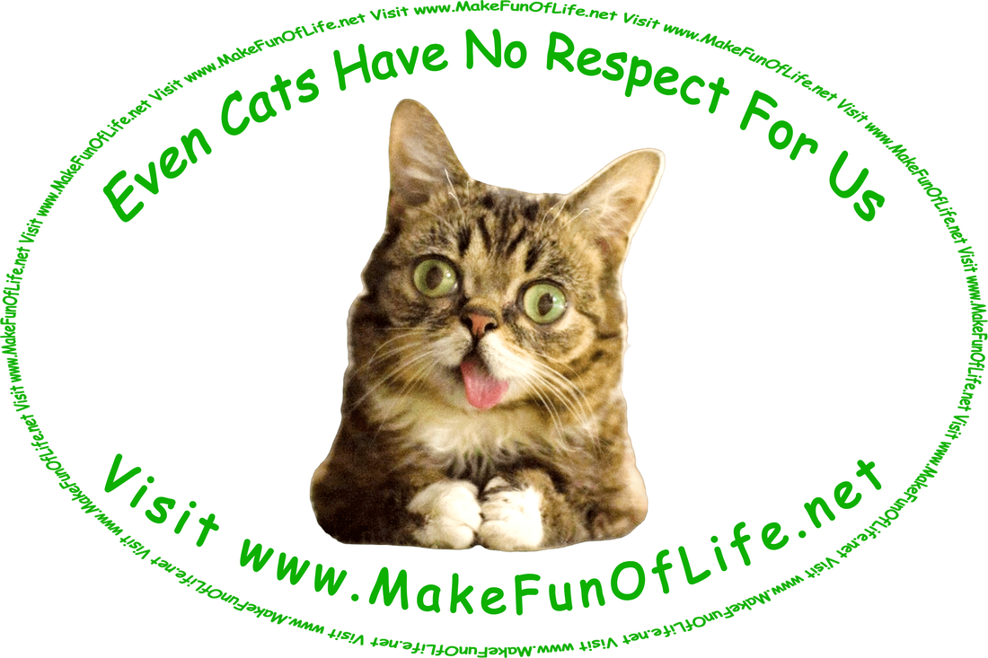 Picture of a cat sticking its tongue out, and the words, ‘Even Cats Have No Respect For Us - Visit www.MakeFunOfLife.net.’