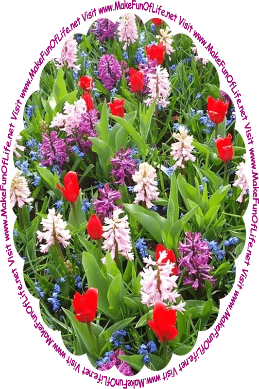Picture of flowering plants with dark green leaves, blossoms in red, purple, and blue, and the words, ‘Visit www.MakeFunOfLife.net.’