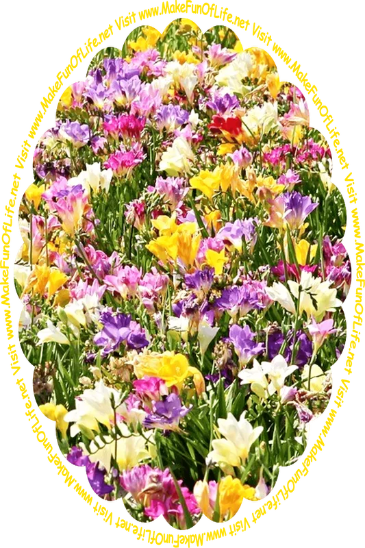 Picture of flowering plants with long dark green leaves and brightly colored blossoms in colors including yellow, pink, purple, and white, and the words, ‘Visit www.MakeFunOfLife.net.’