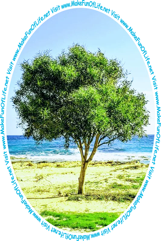 Picture of a tree growing near the sea and the words, 'Visit www.MakeFunOfLife.net.'