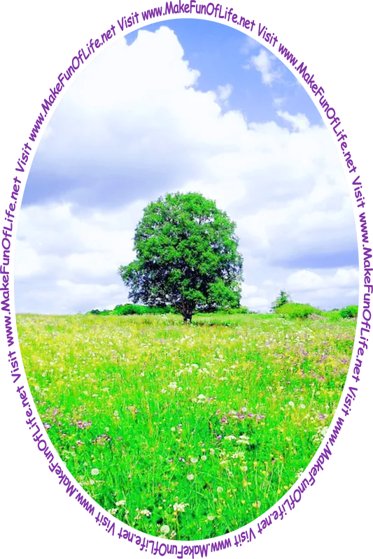 Picture of a single green leafy tree in a meadow with flowering plants and green grass, a cloudy sky overhead and the words, 'Visit www.MakeFunOfLife.net.'