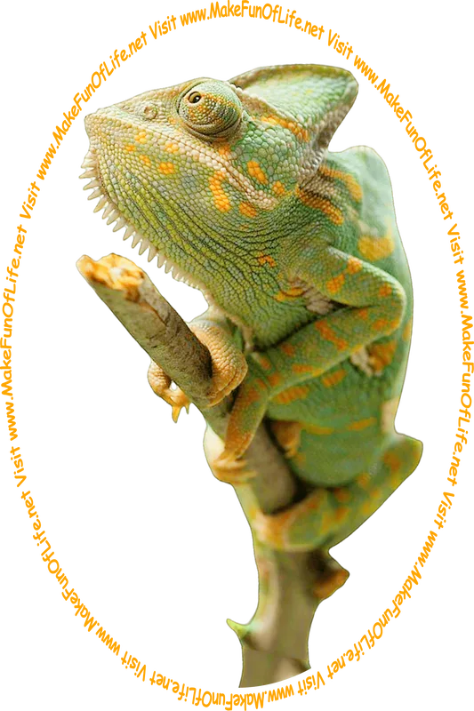 Picture of a green and orange chameleon lizard on a twig, and the words, ‘Visit www.MakeFunOfLife.net.’