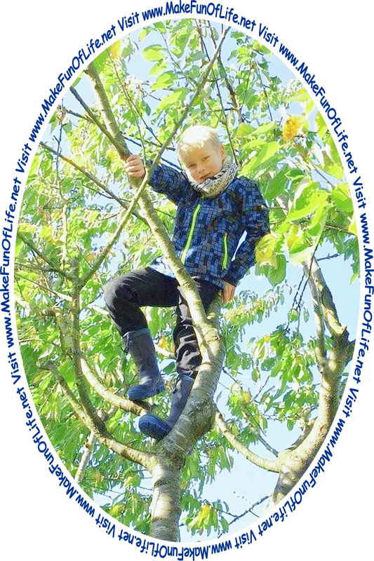 Picture of a boy in a green leafy tree and the words, 'Visit www.MakeFunOfLife.net.'