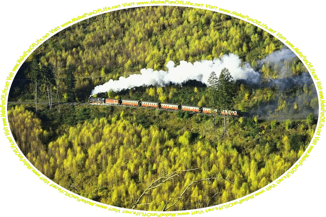 Picture of a passenger train traveling on a railroad through a heavily forested mountainous wilderness, and the words, ‘Visit www.MakeFunOfLife.net.’