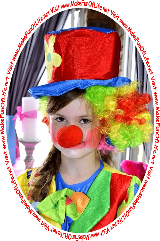 Picture of a girl dressed as a clown, with a big red nose, multicolored wig, large red and blue hat, clown makeup, brightly colored clothes, and the words, ‘Visit www.MakeFunOfLife.net.’