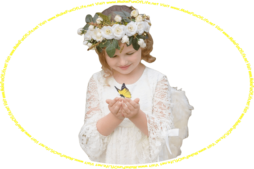 Picture of a child looking at a black and yellow butterfly that has alighted on her hands, and the words, ‘Visit www.MakeFunOfLife.net.’