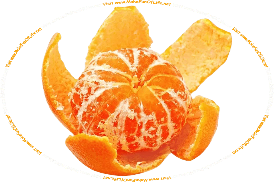 Picture of a partly-peeled variety of orange, called a tangerine, and the words, ‘Visit www.MakeFunOfLife.net.’