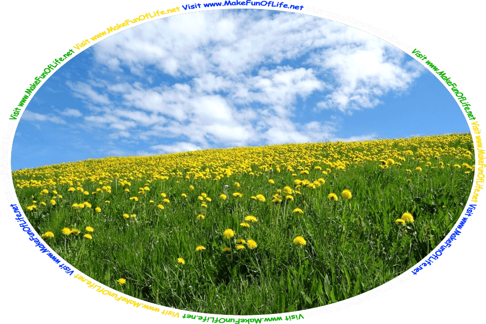 Picture of a field of dandelions with dark green leaves and bright yellow flowers, under a blue sky with fluffy white clouds, and the words, ‘Visit www.MakeFunOfLife.net.’