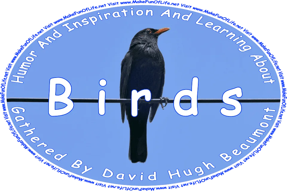 Picture of a blackbird perched on a utility line or wire, and the words, ‘Birds Gathered By David Hugh Beaumont - Visit www.MakeFunOfLife.net.’