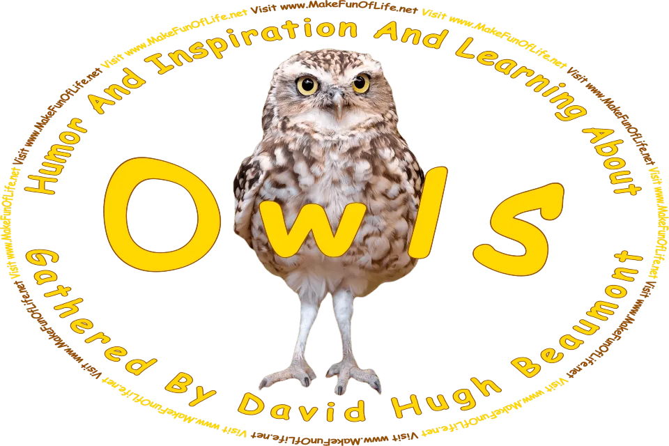 Picture of a burrowing or ground owl, a bird with large eyes and a downward-curved beak, and the words, ‘Owls Gathered By David Hugh Beaumont - Visit www.MakeFunOfLife.net.’
