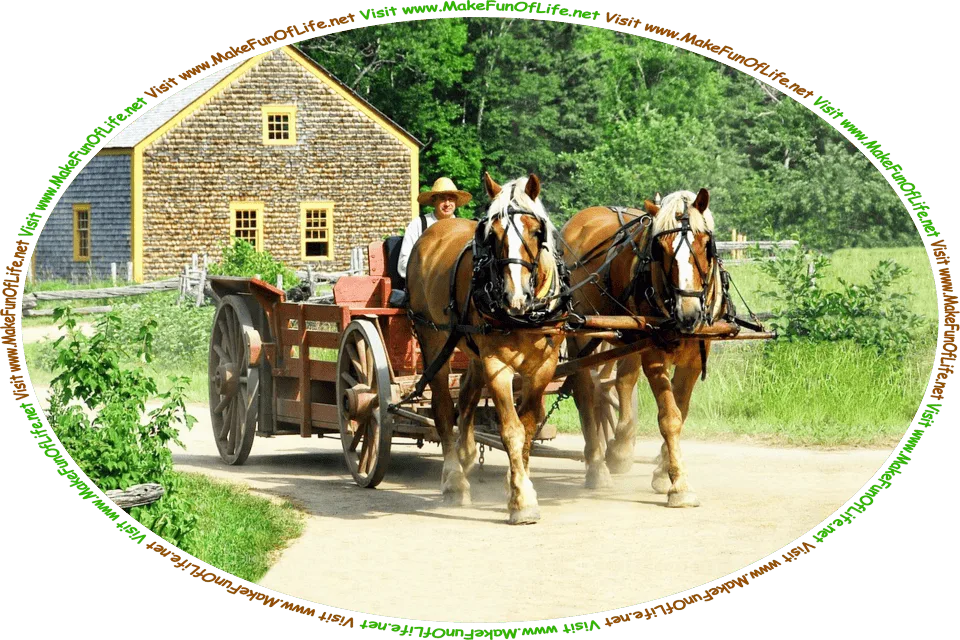Picture of a man in a horse-drawn wagon traveling down a dirt road past a farmhouse, and the words, ‘Visit www.MakeFunOfLife.net.’