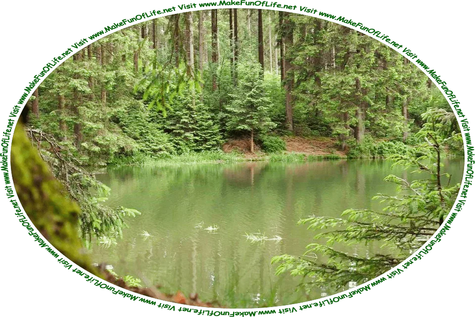 Picture of one end of a lake, surrounded by evergreen trees, green grass, other green leafy plants in a dense forest, and the words, ‘Visit www.MakeFunOfLife.net.’