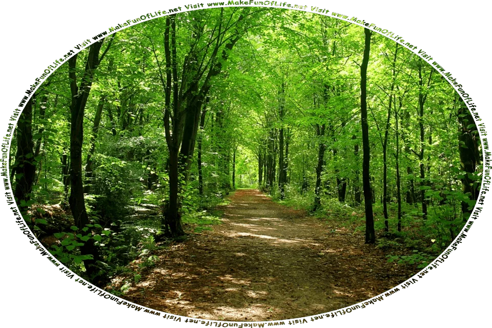 Picture of a dirt footpath through a dark, dense woods of tall thin green leafy trees, and the words, Visit www.MakeFunOfLife.net.
