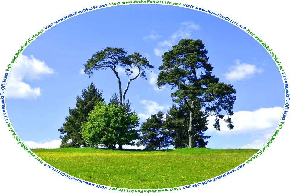 Picture of a stand of green leafy trees, six in number, of various heights, in a green leafy lawn, with a blue sky and fluffy white clouds overhead, and the words, Visit www.MakeFunOfLife.net.