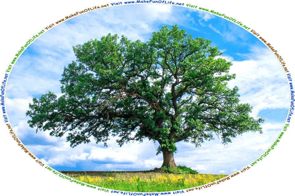 Picture of a leafy green oak tree at the top of a green grassy hill silhouetted against a blue sky with fluffy white clouds, and the words, Visit www.MakeFunOfLife.net.