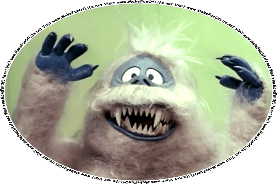 Picture of Bumble, the fury yeti character in the movie, “Rudolph the Red Nosed Reindeer,” and the words, Visit www.MakeFunOfLife.net.
