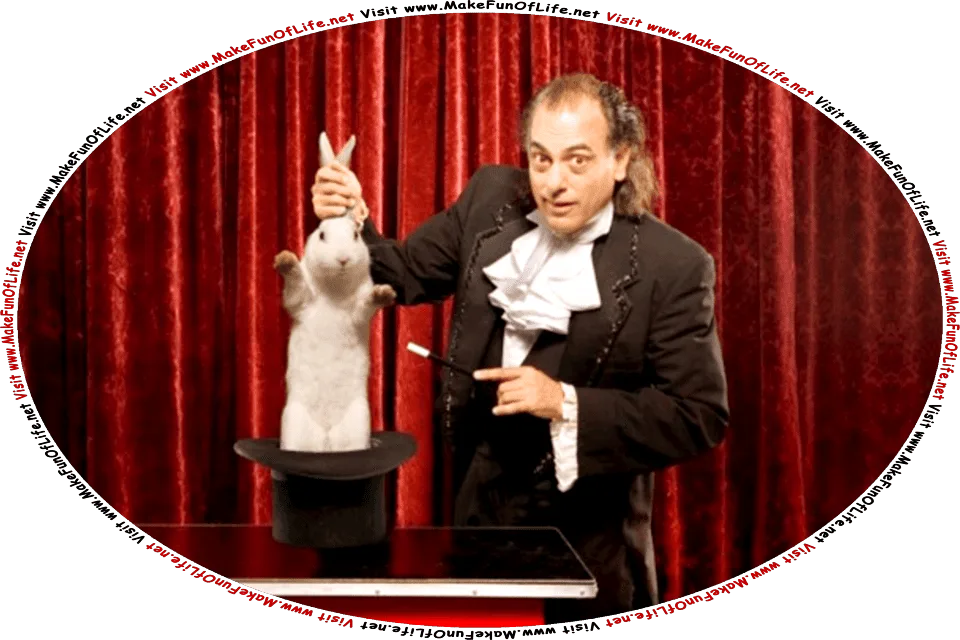 Picture of a magician holding a magic wand in one hand as he pulls a rabbit out of a magic hat with the other hand, and the words, Visit www.MakeFunOfLife.net.