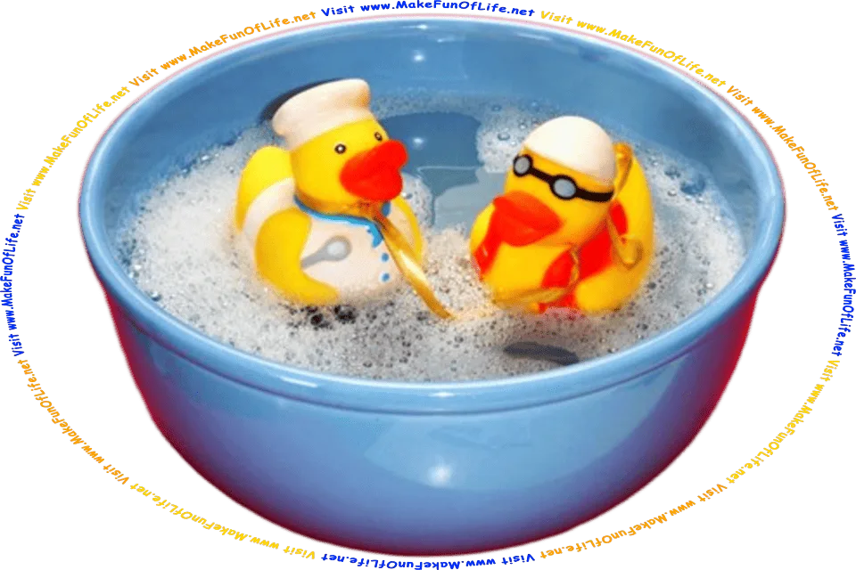 Picture of two yellow rubber ducky bath toys floating in a bowl of soapy water, and the words, Visit www.MakeFunOfLife.net.