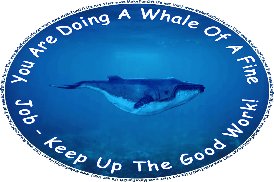 Picture of a large whale underwater, and the words, You Are Doing A Whale Of A Fine Job - Keep Up The Good Work! - Visit www.MakeFunOfLife.net.