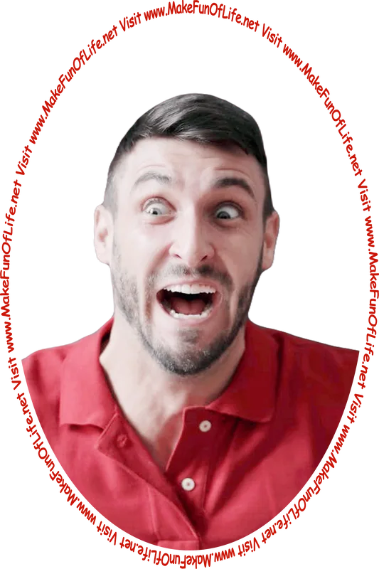 Picture of a man looking at the words and pictures on the website with an expression of horror, and the words, ‘Visit www.MakeFunOfLife.net.’