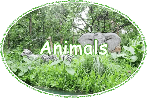 Click or tap here to visit the Animals Page.