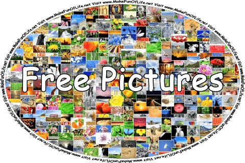 Click or tap here to visit the Free Pictures Page.