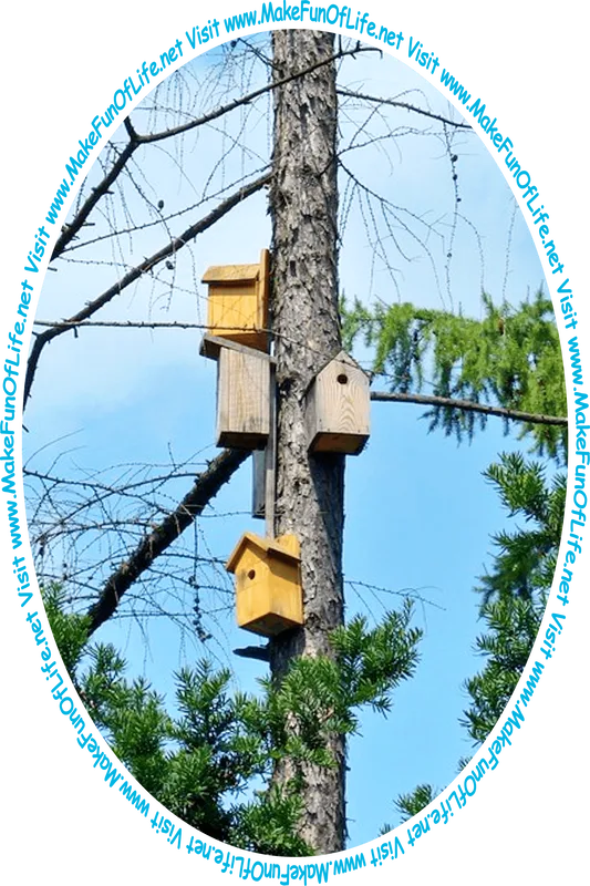 Picture of a tall pine tree with several wooden birdhouses on its trunk and the words, ‘Visit www.MakeFunOfLife.net.’