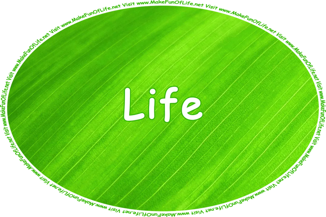 Click or tap here to visit the Life Page or continue down this page to find clickable and tappable links to articles listed alphabetically by their titles and by the pages on which they can be found.