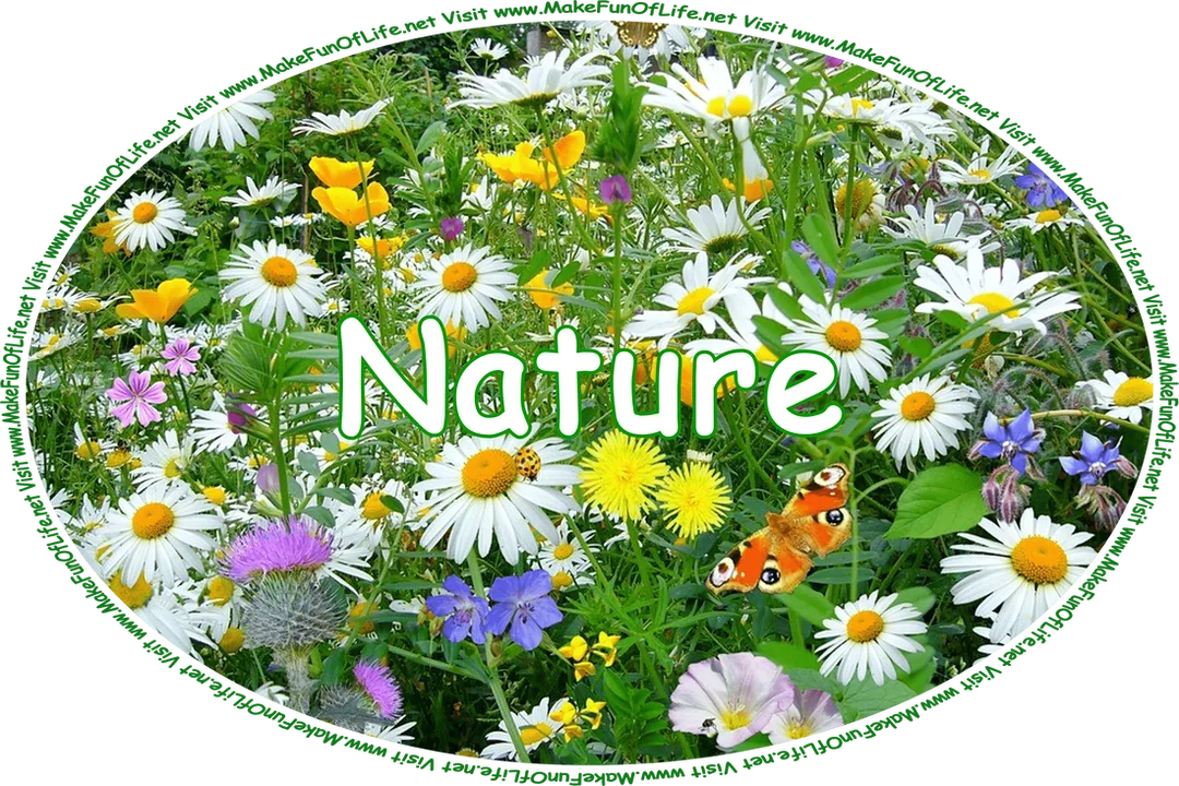 Click or tap here to visit the Nature Page or continue down this page to find clickable and tappable links to articles listed alphabetically by their titles and by the pages on which they can be found.