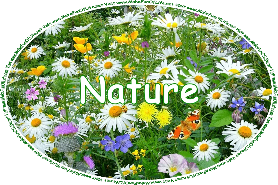 Click or tap here to visit the Nature Page.