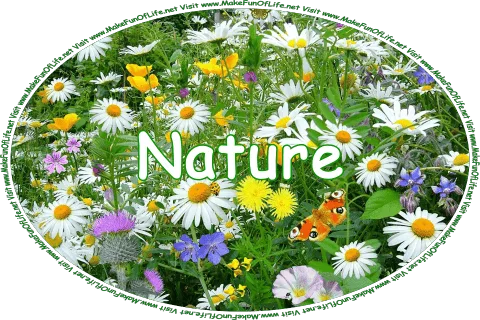 Click or tap here to visit the Nature Page.