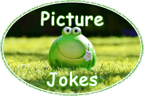 Click or tap here to visit the Picture Jokes Page.