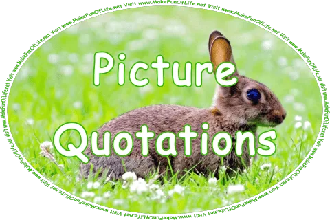Click or tap here to visit the Picture Quotations Page.