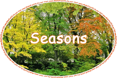 Click or tap here to visit the Seasons Page.