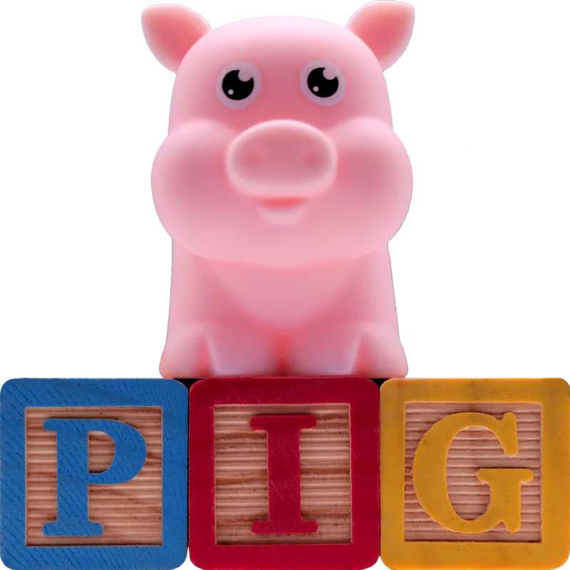 Picture of a toy pig sitting on toy wooden letter blocks spelling out P-I-G. 
